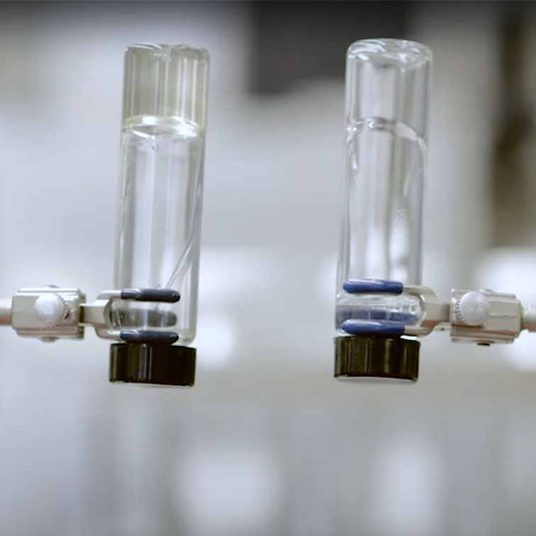 Two laboratory test tubes flipped upside down