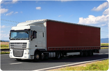 Delo Truck Buses