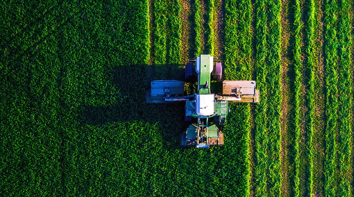 Agriculture