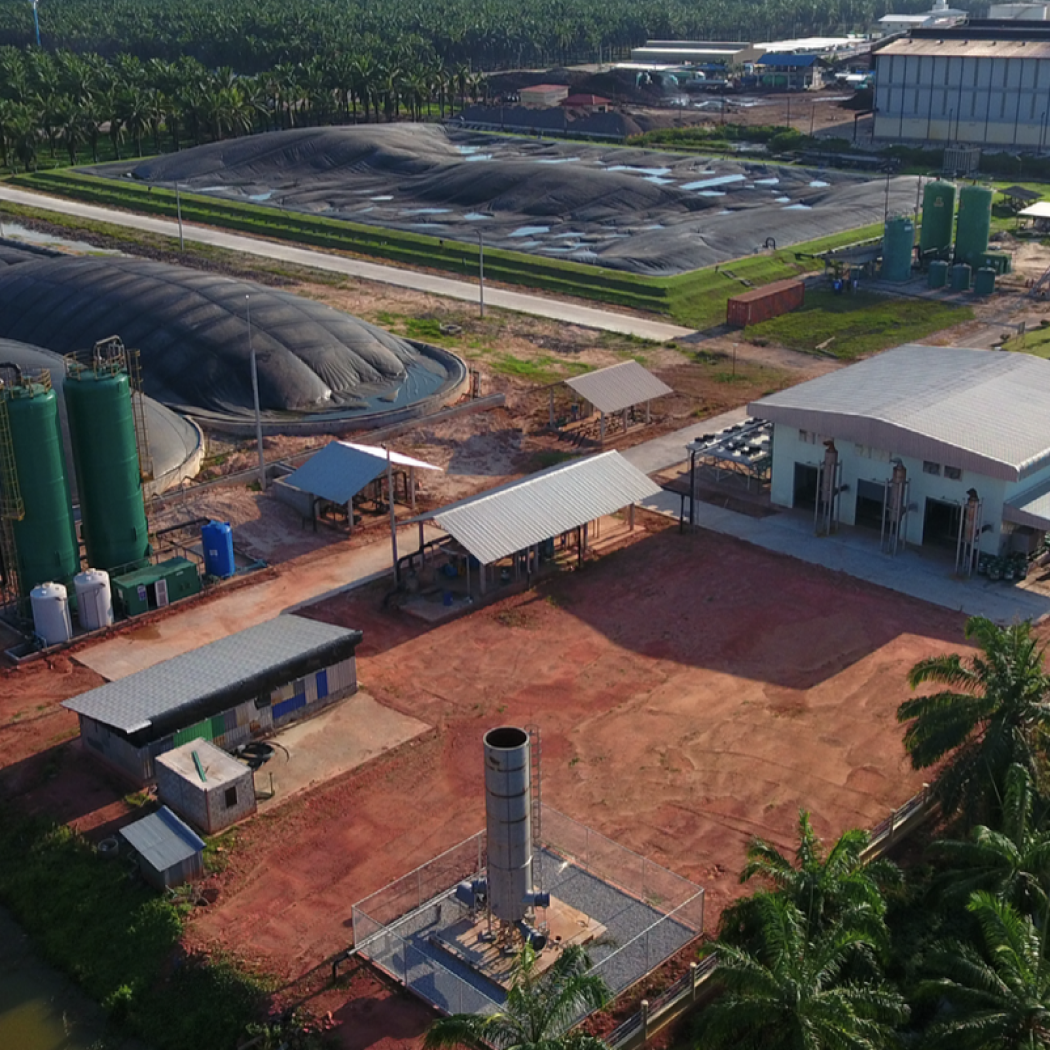 Caltex Advisory - Thai Biogas Energy Company
