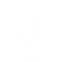 Tiktok icon