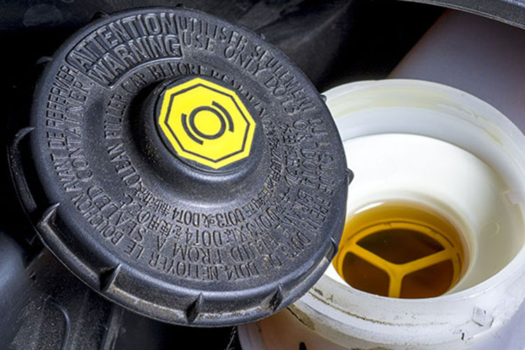 Brake & Clutch Fluids