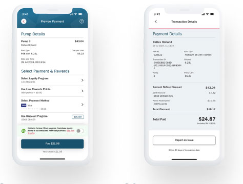Preview payment screen